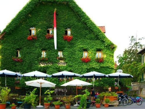 Hotel-gasthof-schiff 3* Winterhausen